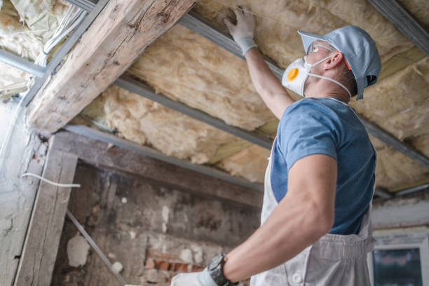 Insulation Repair Services in Lithia Springs, GA