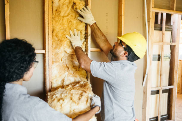 Best Spray Foam Insulation  in Lithia Springs, GA