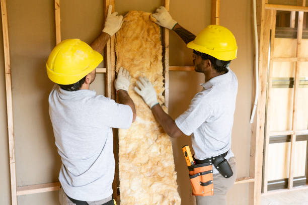 Best Commercial Insulation Contractor  in Lithia Springs, GA
