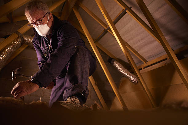 Best Insulation for New Construction  in Lithia Springs, GA